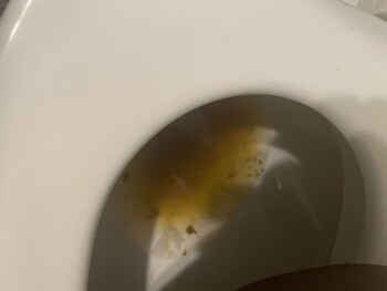 Chipotle Mexican Grill, Glenwood Avenue, Raleigh, NC, USA 照片 #1