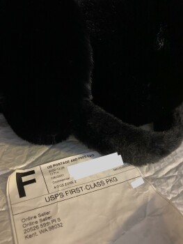 Rapport de sécurité du consommateur Earmuffs in lieu of dog bed, I think. Received earmuffs from 20526 59th Pl S, Kent, WA 97032, an Ama... photo #3