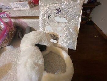 I did not order this item photo #1