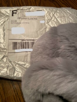 Unwanted merchandise 照片 #1