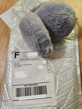 I received a pair of earmuffs that I never ordered 照片 #1