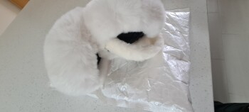 Verbrauchersicherheitsbericht Scam Parcels I ordered a garden ornament from a site on FB and have randomly been sent some ear muff... Foto #1