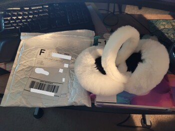 Informe de seguridad del consumidor Ear Muffs instead of Human Dog Bed I received a pair of ear muffs that I didn't order.  My mother al... foto #1