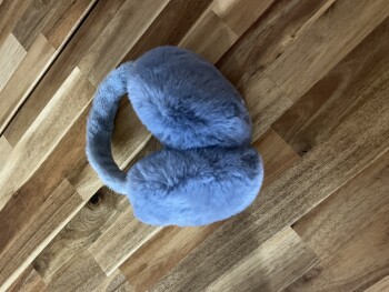 Fraudulent website:DC Print photo #1