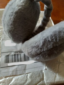 a pkg I never ordered and a 2nd one postage due... garbage in 1st pkg foto #1