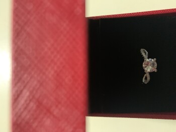 I didn’t order any it just arrived and I was just surprised 照片 #1