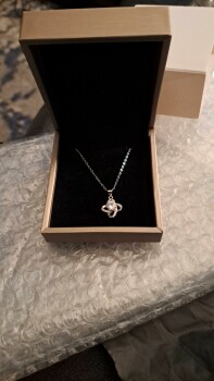 Received A Dimond necklace Foto #1