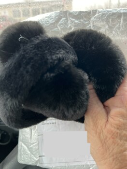 消费者安全报告 Package I recieved a package with ear muff in it ,which I did not order ,and I had to pay postage …w... 照片 #1