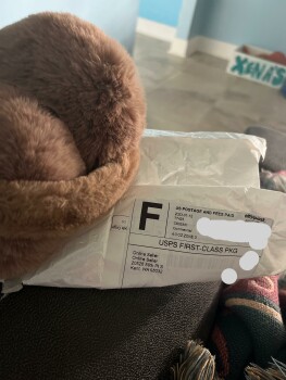 Item I never ordered photo #1