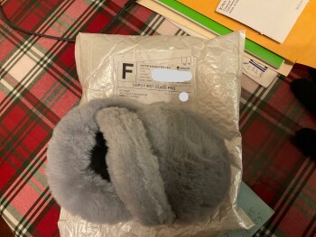 Unordered gray ear muffs arrived at my house foto #1