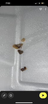 Panda Express, Apple Glen Boulevard, Fort Wayne, IN, USA photo #1