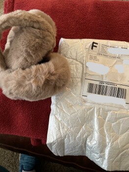 I received same brown earmuffs when I ordered furniture. Must be a scam! foto #1