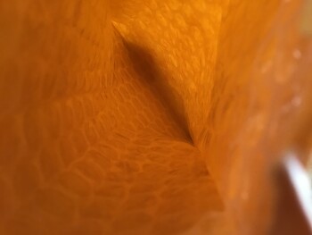 I just received an empty package. photo #1