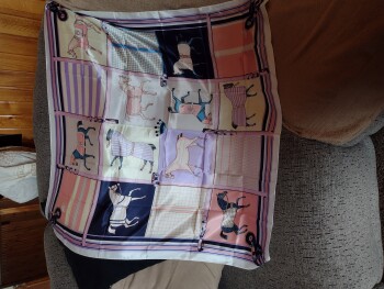 Informe de seguridad del consumidor A package I didn't order I have never and would never a scarf like thing. I came in the mail today... foto #1