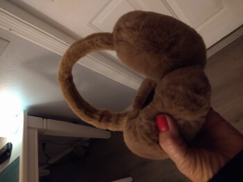 CORALITE LASER ENGRAVER Scam photo #1