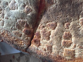 Phil's Pizzeria & Restaurant, Hicksville Road, North Massapequa, NY, USA photo #1