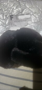 Received a white large envelope, with Black ear mugs ( fur) .Which l didn't order!* photo #1