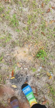 Domino's Pizza, 9th Avenue North, St. Petersburg, FL, USA photo #1