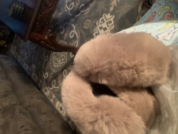 I never ordered Foto #1