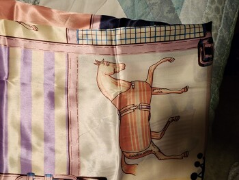 Consumer Safety Report I am reporting an unordered package I just received a package too that I did not order from this sam... photo #1