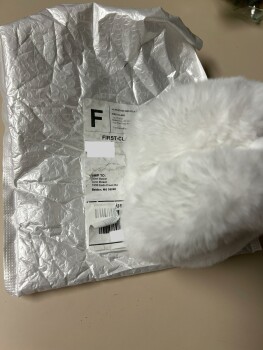 Product not ordered 照片 #1