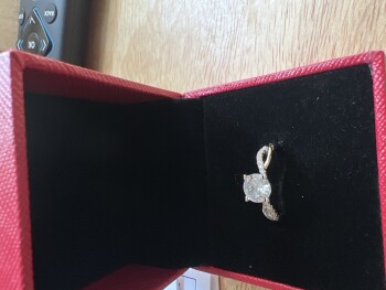 I didn’t order it. photo #1