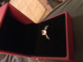 I have received a ring which I have not ordered photo #1