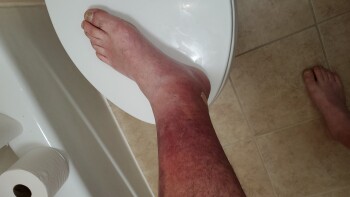 Avaliação do consumidor - Segurança alimentar Pizza Inn, Live Oak Street, Old East Dallas, Dallas, TX, USA I ate at an older pizza inn I had salad... foto #1