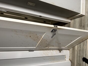 Domino's Pizza, Southeast 82nd Avenue, Portland, OR, USA Foto #1