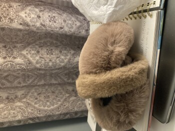 Verbrauchersicherheitsbericht I never ordered this item. Package came in mail a pair of fuzzy tan earmuffs.  I never ordered these... Foto #1