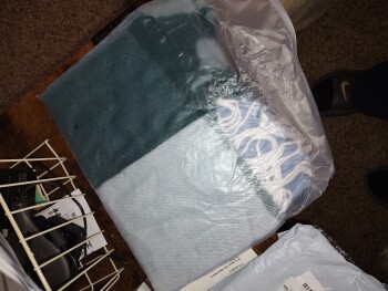 Consumer Safety Report Part I ordered and paid for not received I ordered 2 of the "healing Nest" beds from sprintlg.store,... photo #1