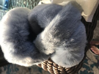 消费者安全报告 Unordered Package Received earmuffs I never ordered
I received earmuffs I never ordered?? How do I... 照片 #1