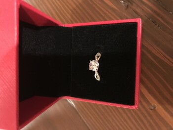 تقرير سلامة المستهلك Scam Alert Received a ring from Tevin James through gra moissanite I did not order 
 I usually only... صورة فوتوغرافية #2