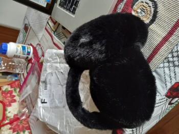 消费者安全报告 Scam Alert wrong item sent to me
I ordered a garden bed from Kneel Company and got ear muffs from t... 照片 #1