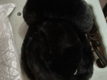 Informe de seguridad del consumidor PACKAGE RECIEVED NOT ORDERED received a package i did not order earmuffs from RETURNEP 19301 PACFIC... foto #1