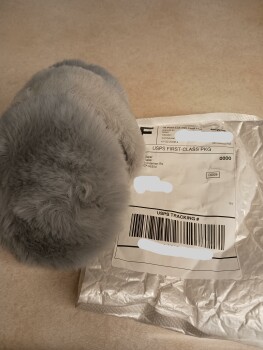 Item I did not order 照片 #1