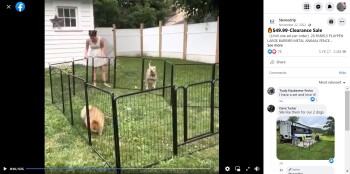 Informe de seguridad del consumidor A Scam on made From Sterodrip and Returnep. Order dog fencing from https://l.facebook.com/l.php?u=ht... foto #2