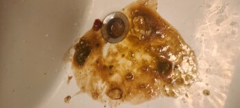 QDOBA Mexican Eats, West 120th Avenue, Westminster, CO, USA photo #1