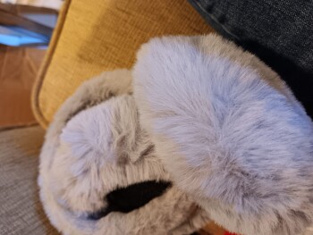 Verbrauchersicherheitsbericht Package I did not order I have a package that I did not order

I'm in Hartselle Foto #1