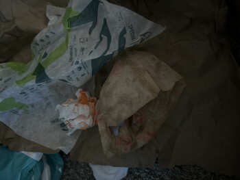 Taco Bell, Greenspoint Drive, Houston, TX, USA 照片 #1