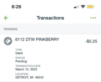 Pinkberry, Detroit Metropolitan Wayne County Airport (DTW), Worldgateway Place, Detroit, MI, USA photo #1