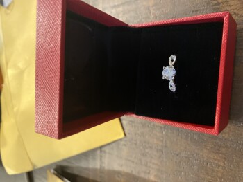 Consumer Safety Report Tevin James I did not order this ring I did not order this ring I ordered some clothes, never receiv... photo #1