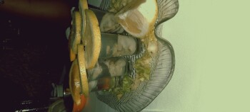 Consumer Review - Food Safety LORD PRAWN, Lagoon Drive, Umhlanga, South Africa 10/03/2023,  We had Oyster shots. one person has be... photo #1