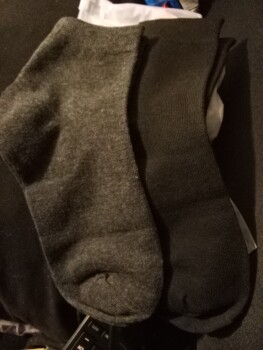 Rapport de sécurité du consommateur Socks that I didn't order but I did order a greenhouse I received 2 pairs of socks that I didn't ord... photo #2