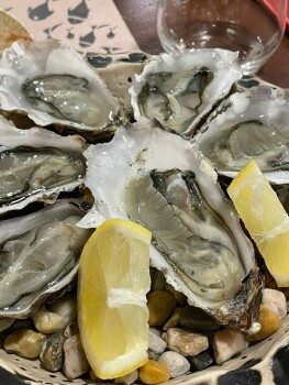 Consumer Review - Food Safety Solar 31 da Calçada, Calçada Garcia, Lisbon, Portugal 23/3/2023, DO NOT VISIT  oysters I had dinner... photo #1