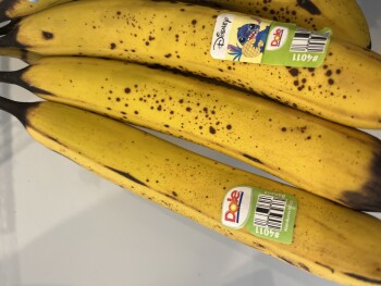 Banana, Real Canadian Superstore Don Mills Road, Don Mills Road, Toronto, ON, Canada photo #1