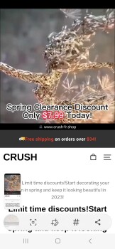 消费者安全报告 Scam company: www.crush-fr.shop I ORDERED A METAL YARD SCULPTURE THAT WAS VERY DETAILED AND LARGE IN... 照片 #2