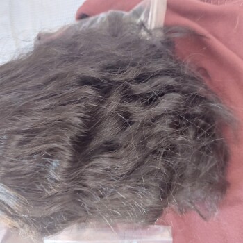 消费者安全报告 HIGHQULAITY WIGS IS A SCAM COMPANY I ordered 3 wigs from a company called Highquality Wigs but its a... 照片 #8