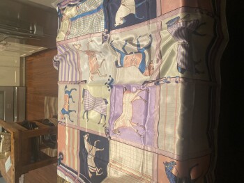 Ordered a waist exercise thing and got a horse scarf 🤣 Foto #1