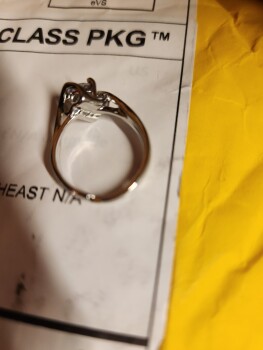 Relatório de segurança do consumidor Scam Alert: Finddoany.com I received a cheap ring I never ordered for $44.70 instead of the clothes... foto #1